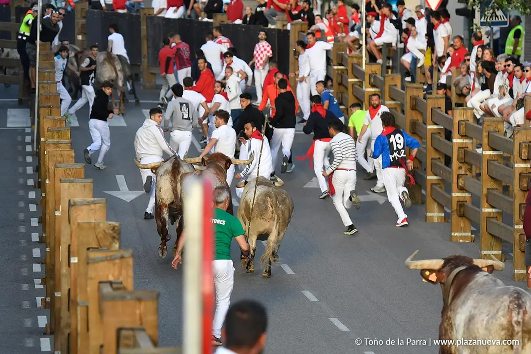 Encierro de Tudela d&iacute;a 28 2025 27