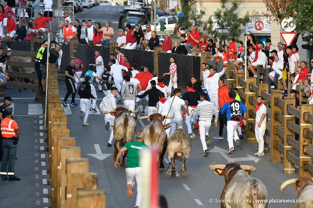 Encierro de Tudela d&iacute;a 28 2025 28