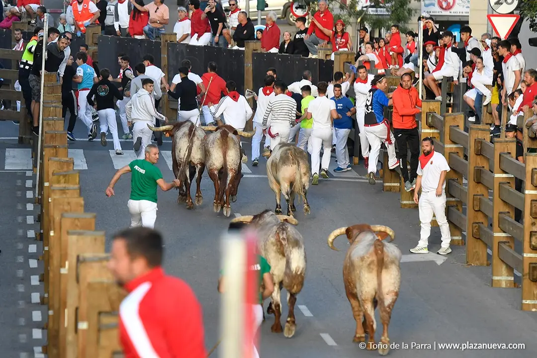Encierro de Tudela d&iacute;a 28 2025 29
