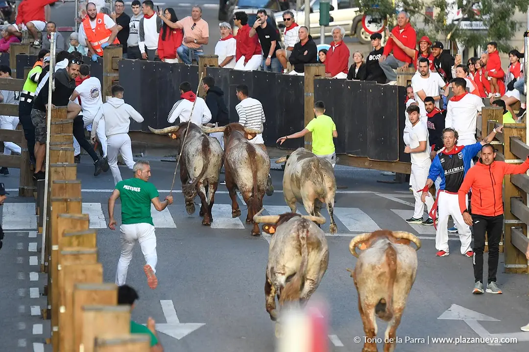 Encierro de Tudela d&iacute;a 28 2025 30