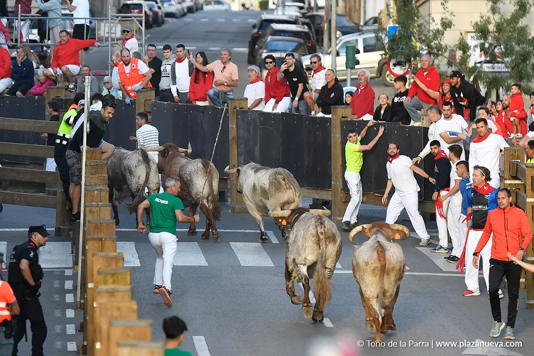 Encierro de Tudela d&iacute;a 28 2025 31