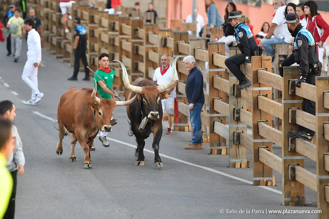 Encierro de Tudela d&iacute;a 28 2025 32