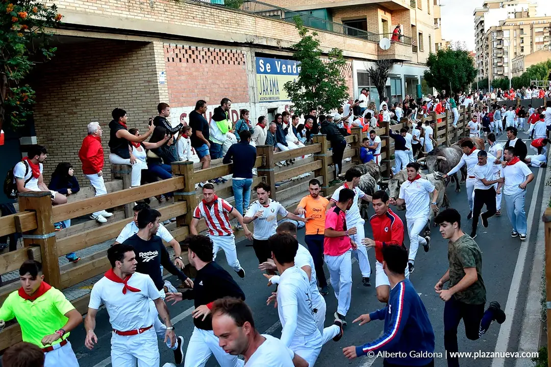 Encierro de Tudela d&iacute;a 28 2025 33