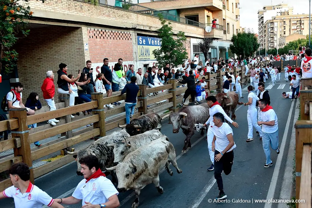 Encierro de Tudela d&iacute;a 28 2025 35