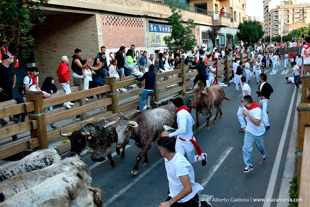 Encierro de Tudela d&iacute;a 28 2025 36