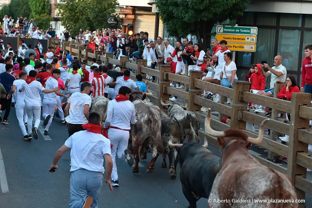 Encierro de Tudela d&iacute;a 28 2025 38