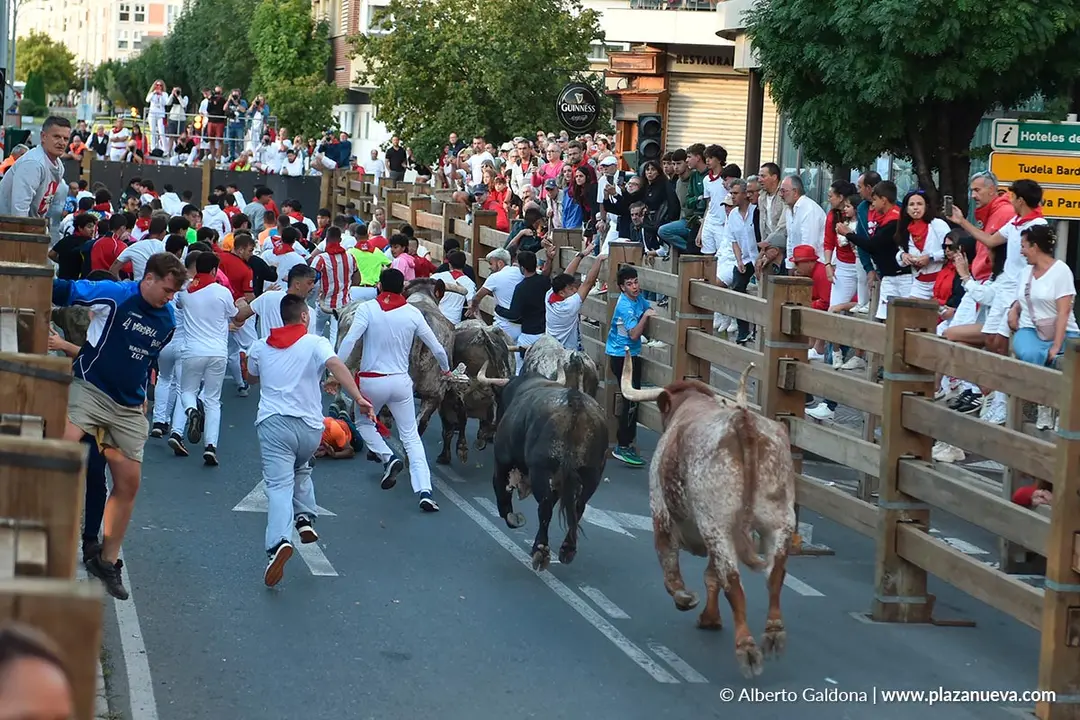 Encierro de Tudela d&iacute;a 28 2025 39