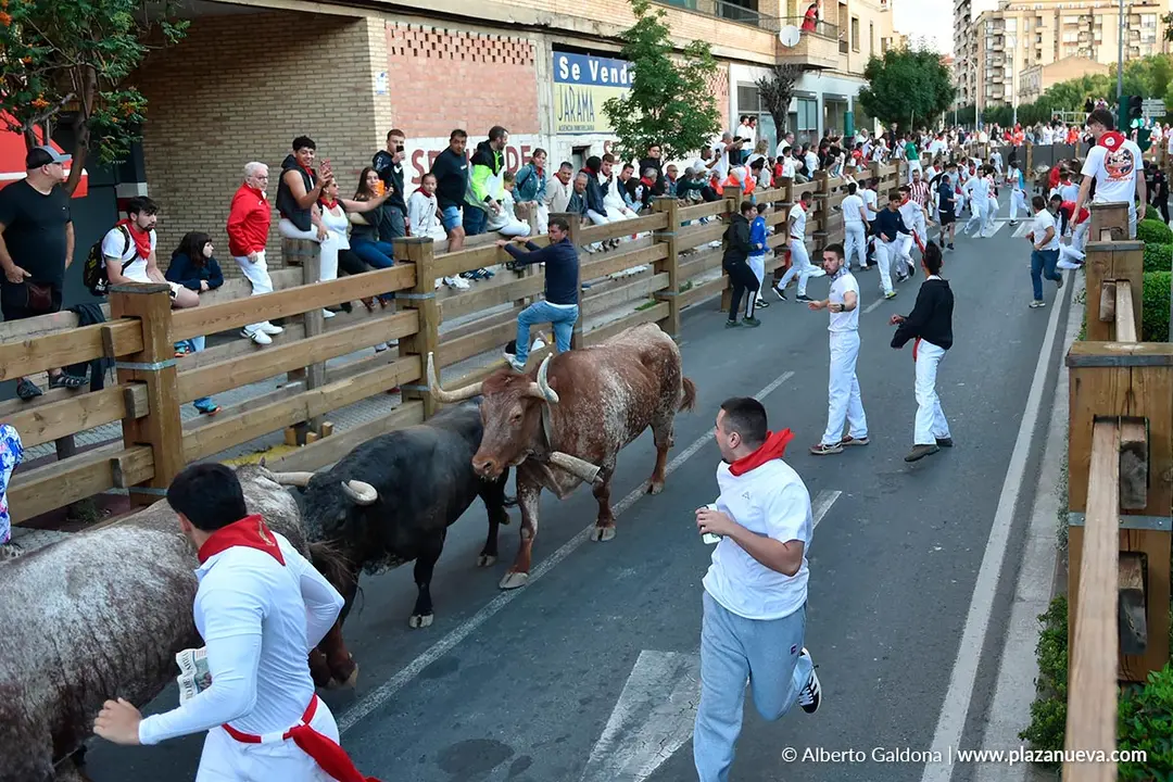 Encierro de Tudela d&iacute;a 28 2025 37