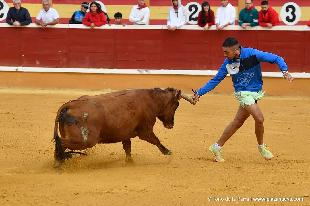 Suelta de vaquillas en Tudela d&iacute;a 28 2025 1
