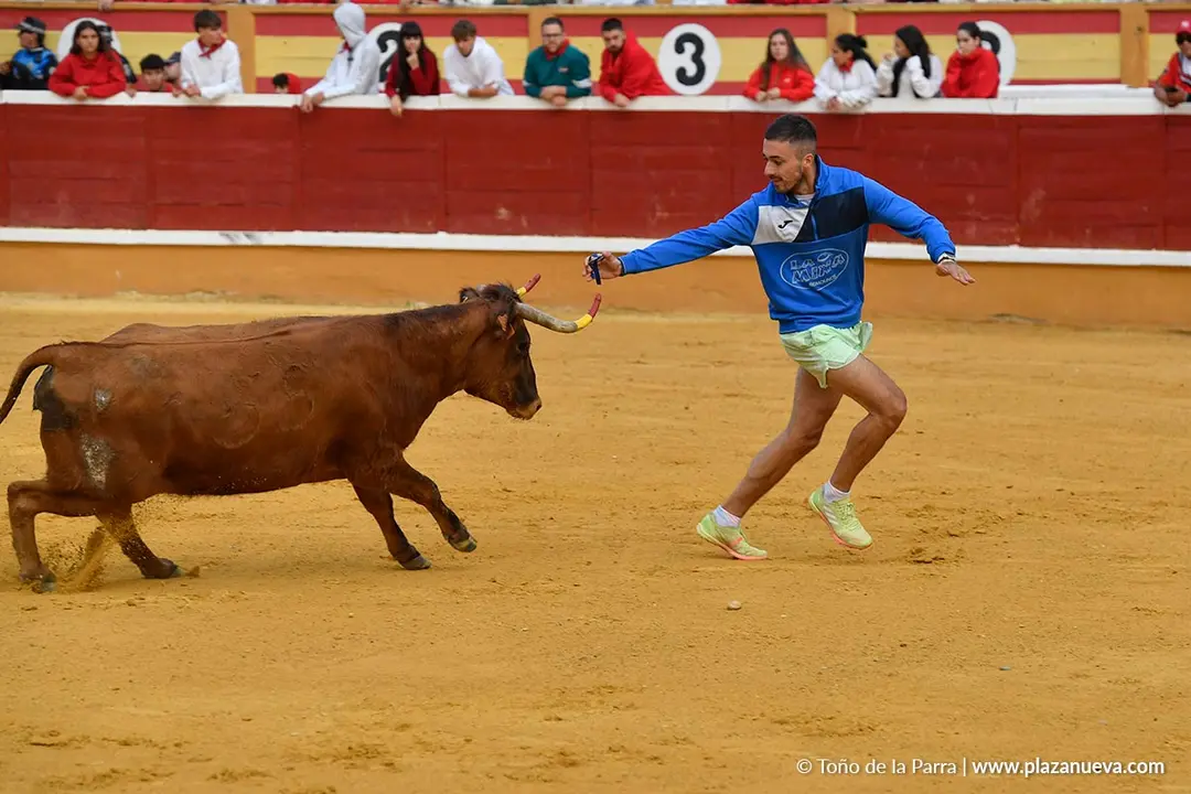 Suelta de vaquillas en Tudela d&iacute;a 28 2025 2