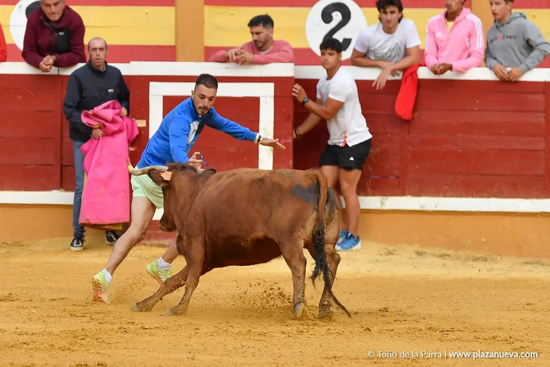 Suelta de vaquillas en Tudela d&iacute;a 28 2025 4