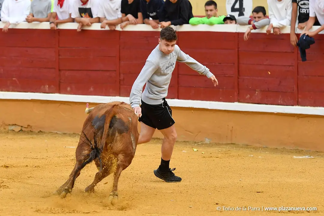 Suelta de vaquillas en Tudela d&iacute;a 28 2025 5