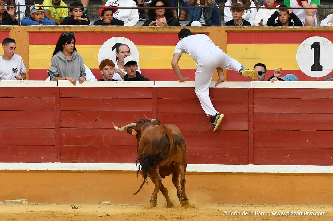 Suelta de vaquillas en Tudela d&iacute;a 28 2025 7