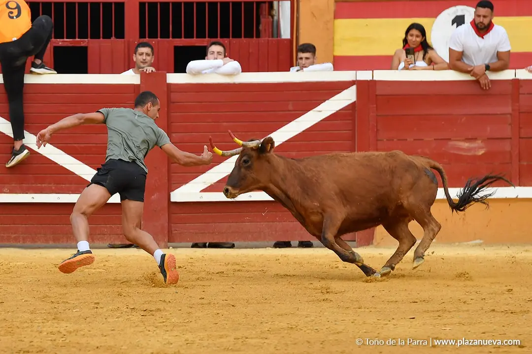 Suelta de vaquillas en Tudela d&iacute;a 28 2025 8