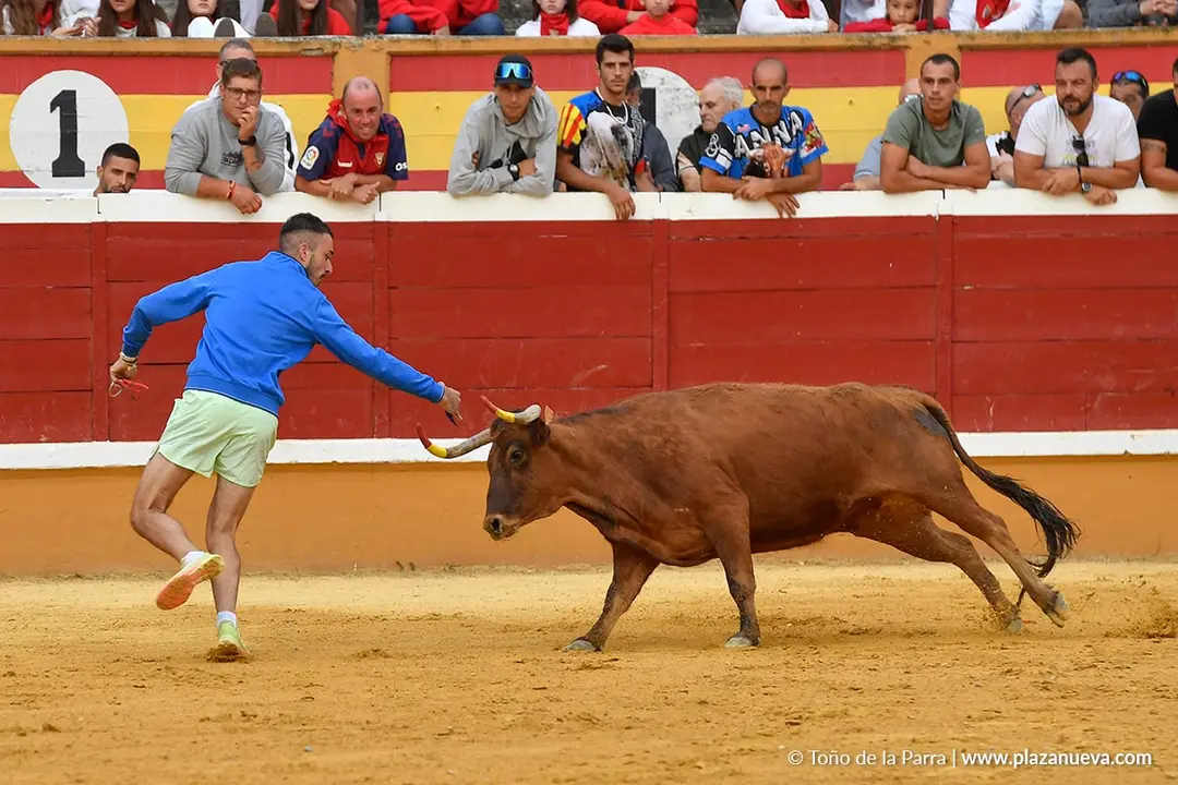 Suelta de vaquillas en Tudela d&iacute;a 28 2025 9