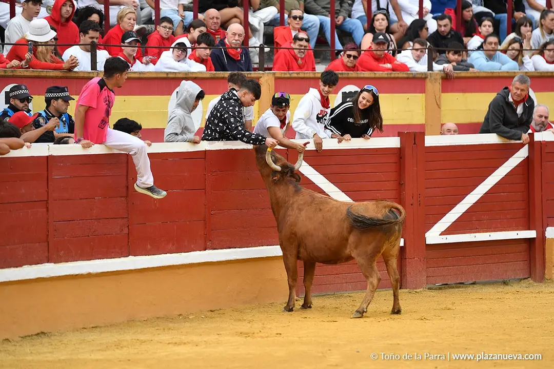 Suelta de vaquillas en Tudela d&iacute;a 28 2025 10