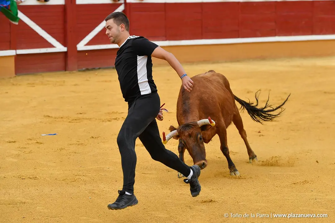 Suelta de vaquillas en Tudela d&iacute;a 28 2025 13