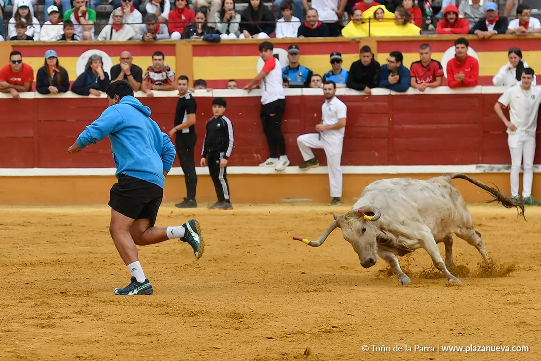 Suelta de vaquillas en Tudela d&iacute;a 28 2025 19