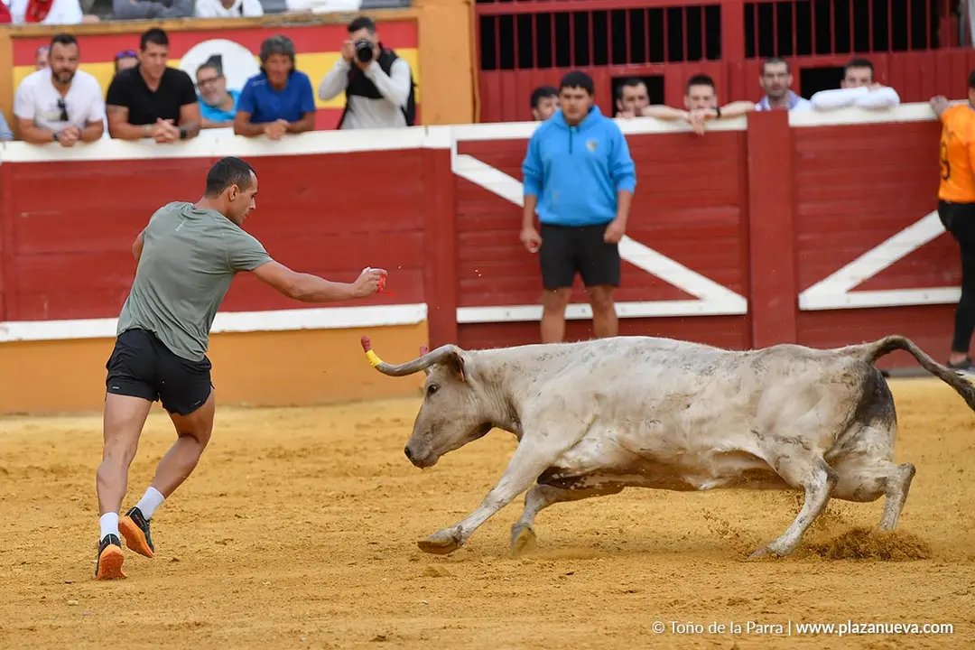 Suelta de vaquillas en Tudela d&iacute;a 28 2025 21