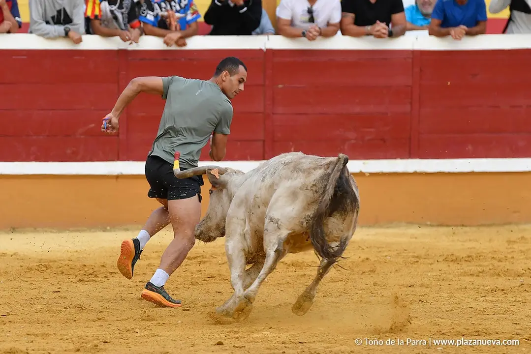 Suelta de vaquillas en Tudela d&iacute;a 28 2025 22