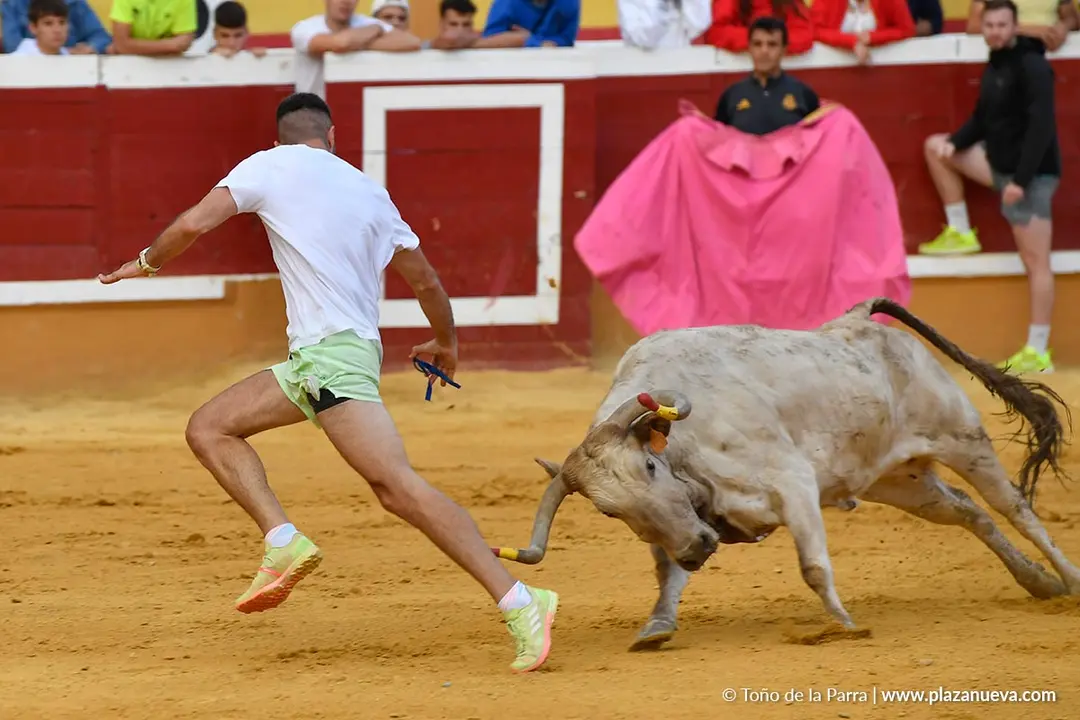 Suelta de vaquillas en Tudela d&iacute;a 28 2025 23