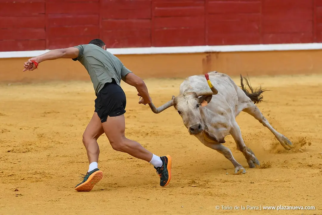 Suelta de vaquillas en Tudela d&iacute;a 28 2025 24