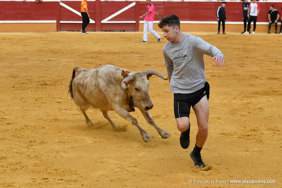 Suelta de vaquillas en Tudela d&iacute;a 28 2025 25