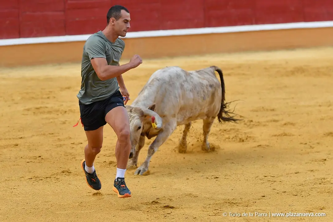Suelta de vaquillas en Tudela d&iacute;a 28 2025 27