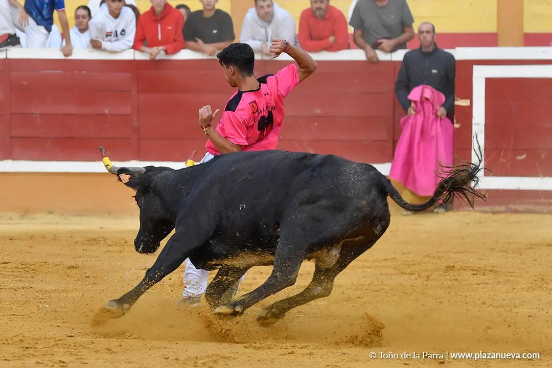 Suelta de vaquillas en Tudela d&iacute;a 28 2025 28