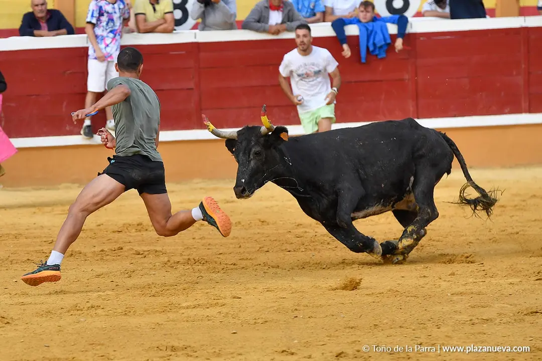 Suelta de vaquillas en Tudela d&iacute;a 28 2025 29