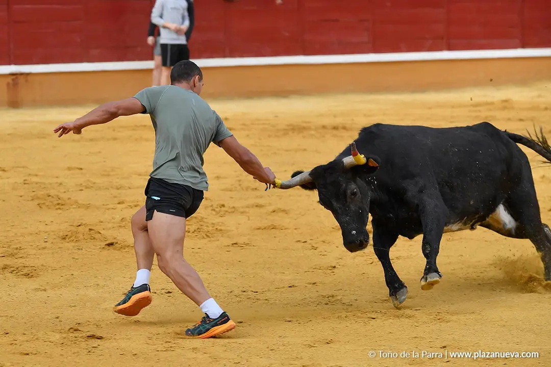 Suelta de vaquillas en Tudela d&iacute;a 28 2025 31
