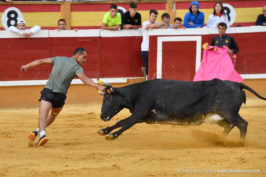 Suelta de vaquillas en Tudela d&iacute;a 28 2025 30