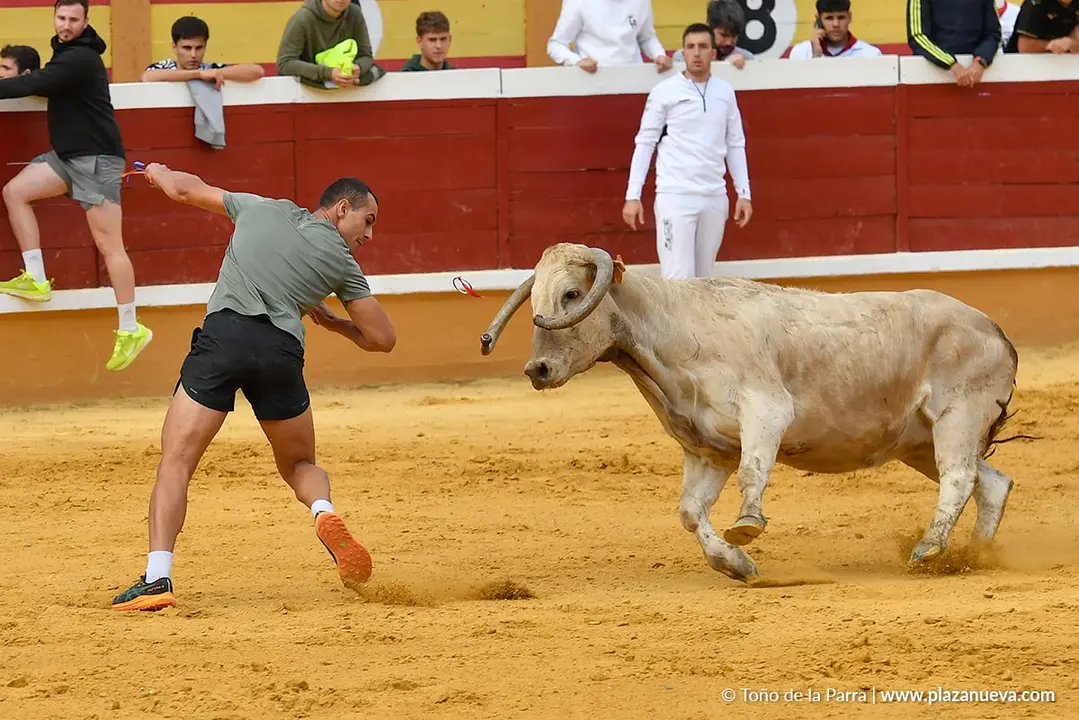 Suelta de vaquillas en Tudela d&iacute;a 28 2025 34