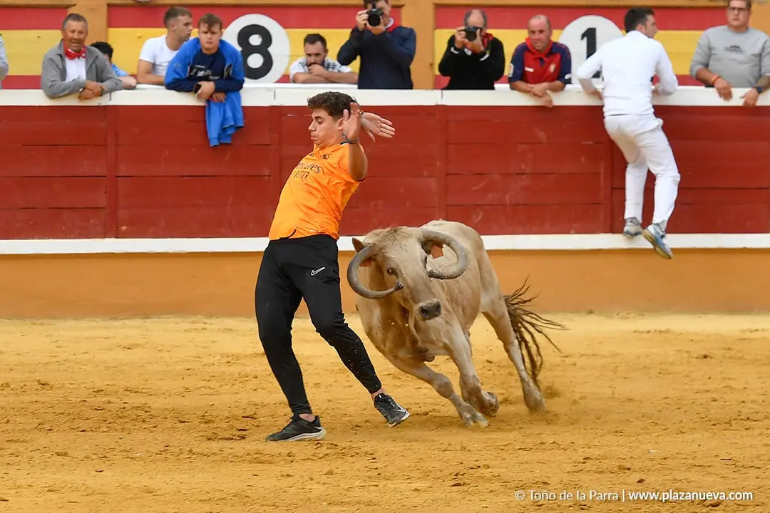 Suelta de vaquillas en Tudela d&iacute;a 28 2025 35