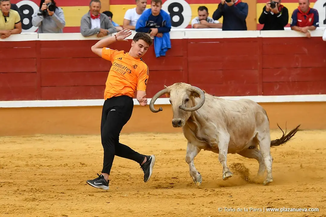 Suelta de vaquillas en Tudela d&iacute;a 28 2025 36