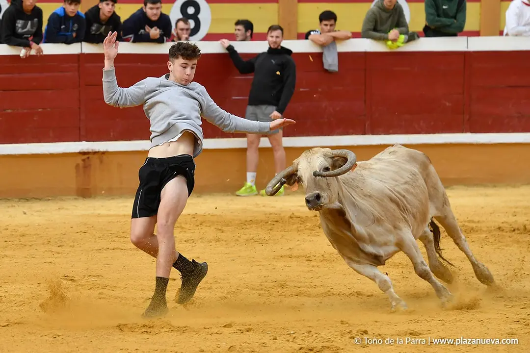 Suelta de vaquillas en Tudela d&iacute;a 28 2025 37