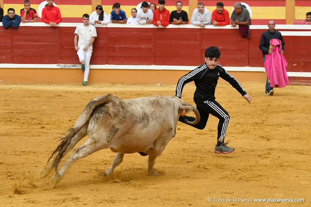 Suelta de vaquillas en Tudela d&iacute;a 28 2025 38