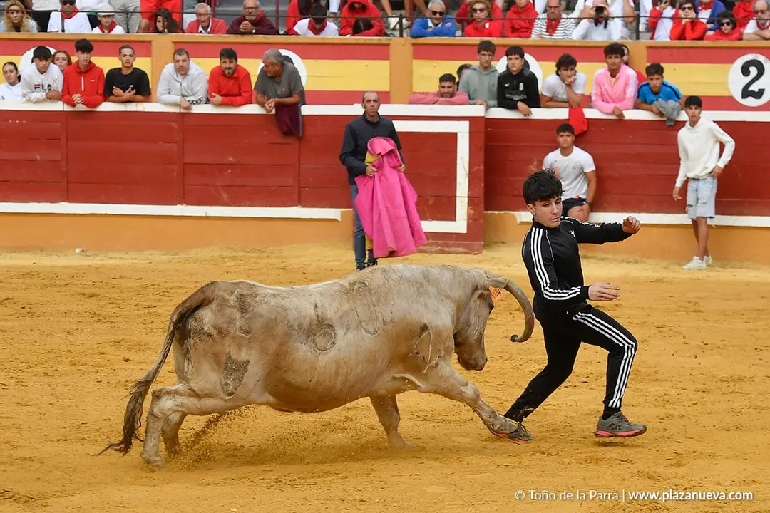 Suelta de vaquillas en Tudela d&iacute;a 28 2025 39
