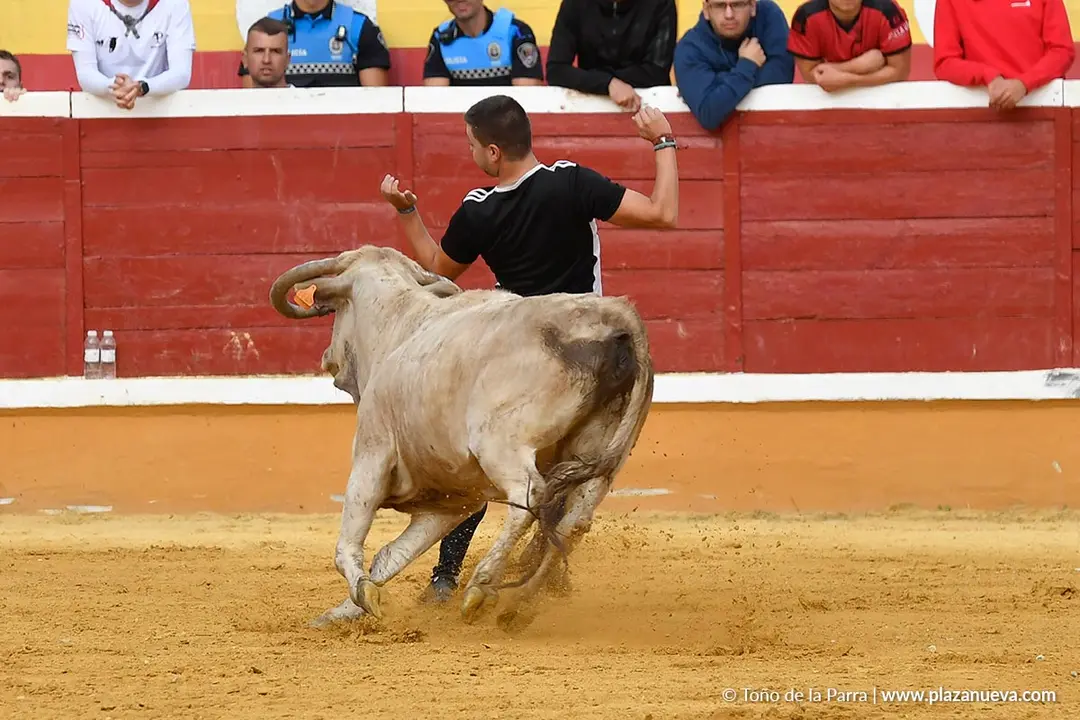 Suelta de vaquillas en Tudela d&iacute;a 28 2025 42