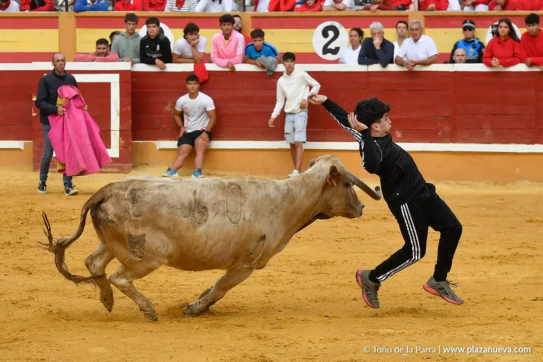 Suelta de vaquillas en Tudela d&iacute;a 28 2025 40