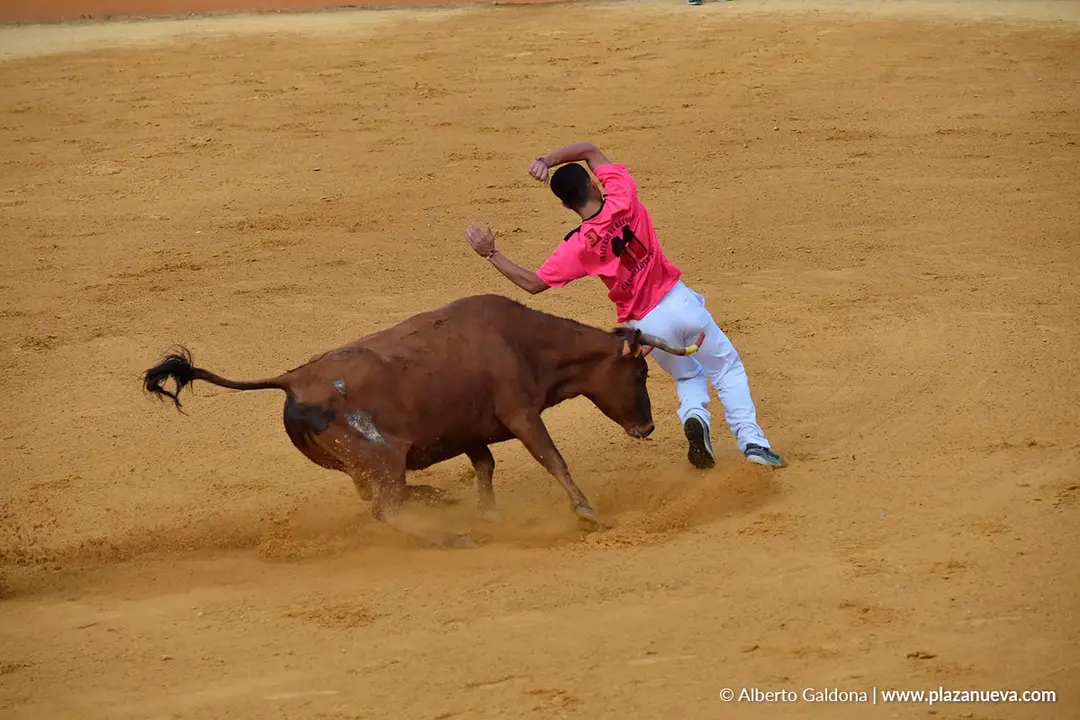 Suelta de vaquillas en Tudela d&iacute;a 28 2025 43