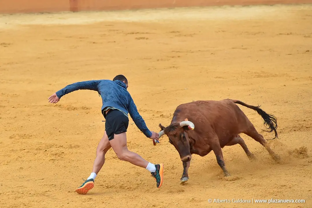 Suelta de vaquillas en Tudela d&iacute;a 28 2025 44