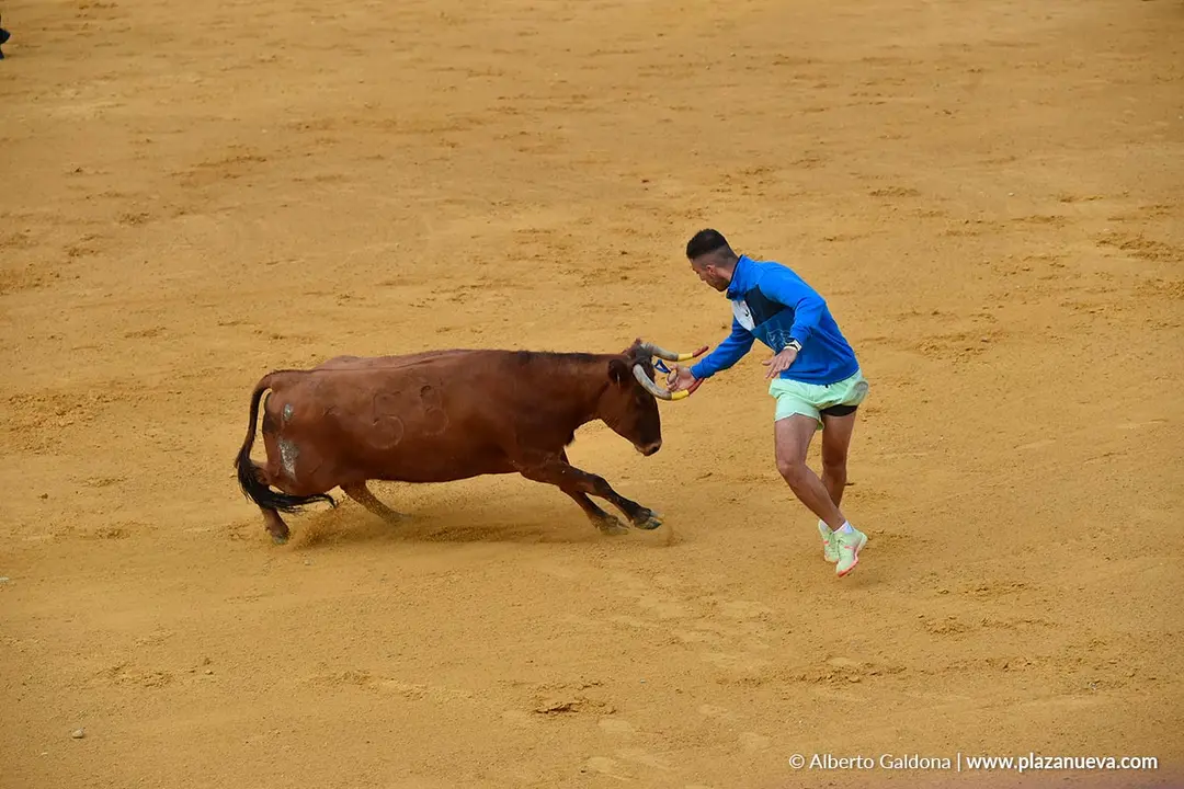 Suelta de vaquillas en Tudela d&iacute;a 28 2025 45