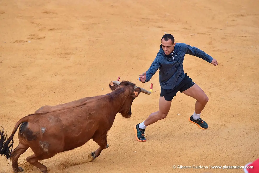 Suelta de vaquillas en Tudela d&iacute;a 28 2025 46