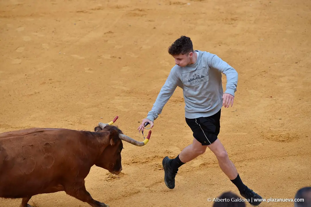 Suelta de vaquillas en Tudela d&iacute;a 28 2025 47
