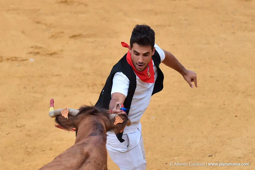 Suelta de vaquillas en Tudela d&iacute;a 28 2025 48