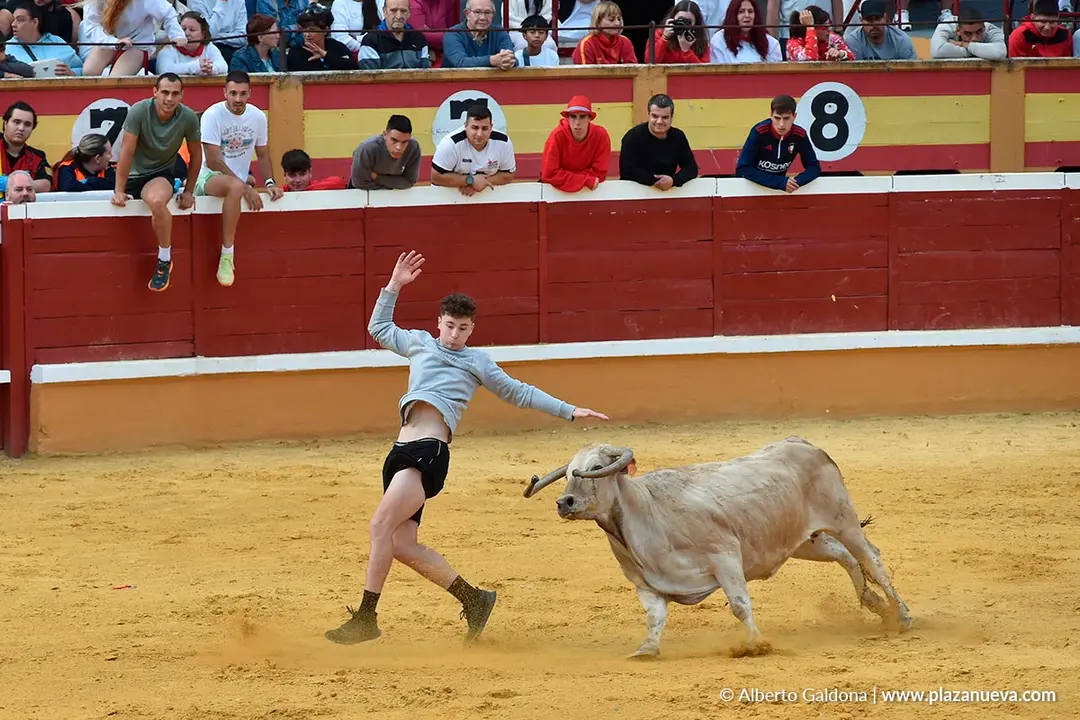 Suelta de vaquillas en Tudela d&iacute;a 28 2025 51
