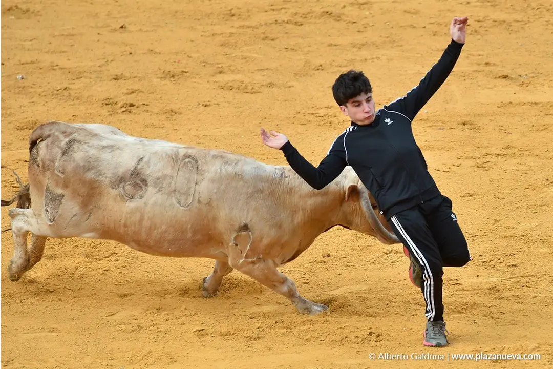 Suelta de vaquillas en Tudela d&iacute;a 28 2025 52