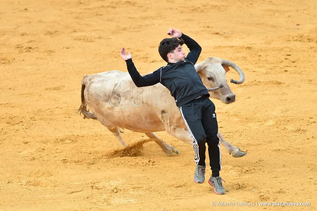 Suelta de vaquillas en Tudela d&iacute;a 28 2025 53
