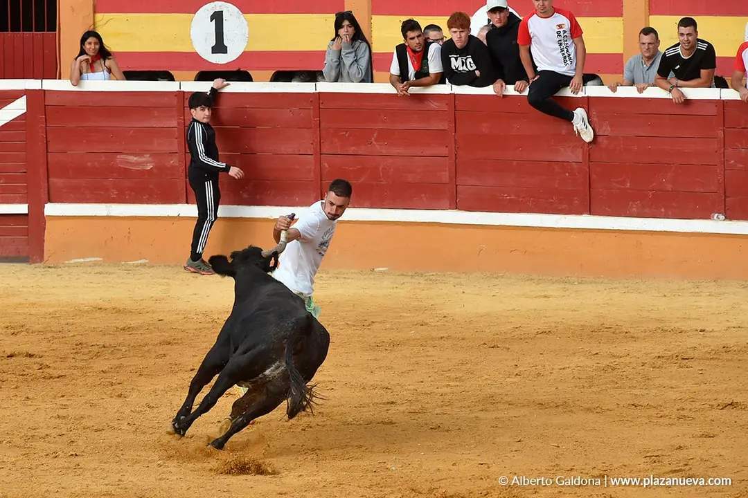 Suelta de vaquillas en Tudela d&iacute;a 28 2025 54
